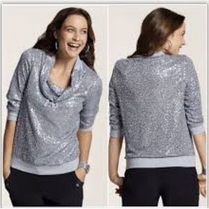Vintage Zenergy by Chico's very hard to find, Silver Sequin Mesh Pullover